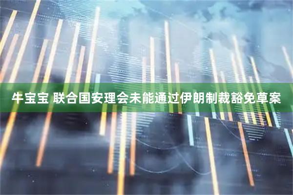 牛宝宝 联合国安理会未能通过伊朗制裁豁免草案