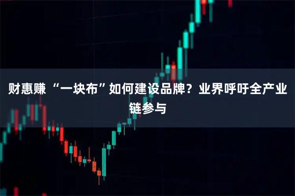 财惠赚 “一块布”如何建设品牌？业界呼吁全产业链参与