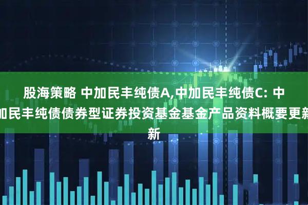 股海策略 中加民丰纯债A,中加民丰纯债C: 中加民丰纯债债券型证券投资基金基金产品资料概要更新