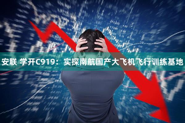 安联 学开C919:实探南航国产大飞机飞行训练基地