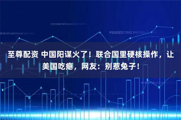 至尊配资 中国阳谋火了!联合国里硬核操作,让美国吃瘪,网友:别惹兔子!
